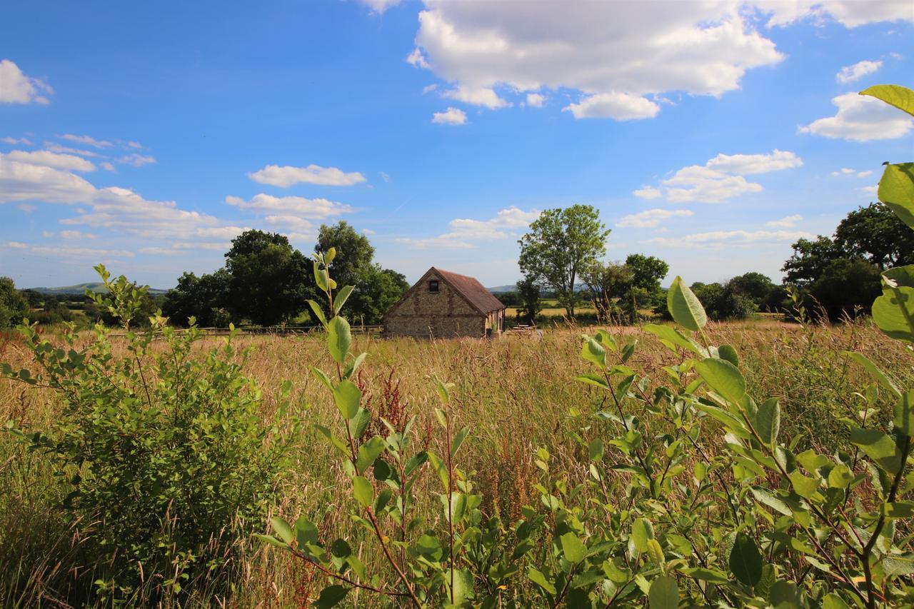 South Cottage - Rural Gem In The Heart Of The Sussex Countryside Twineham Exterior photo